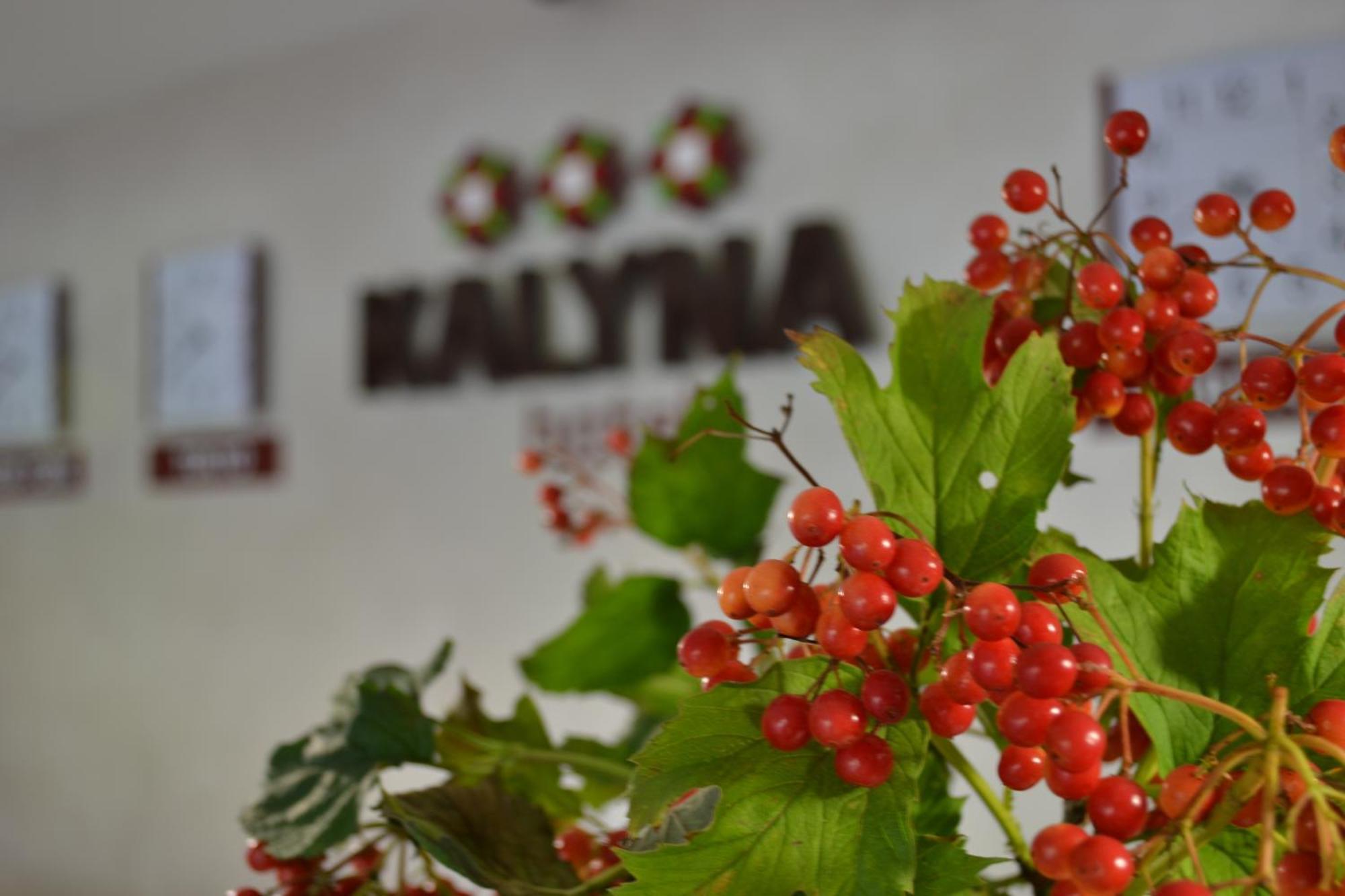Hotel Kalyna خاركيف المظهر الخارجي الصورة